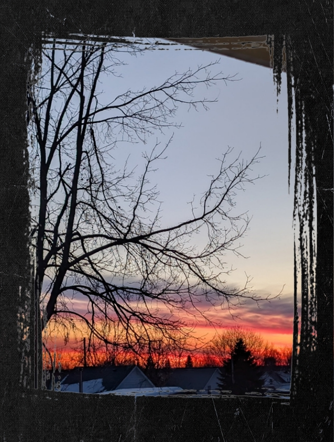 The Privilege of a Heartbeat Winter Tree image